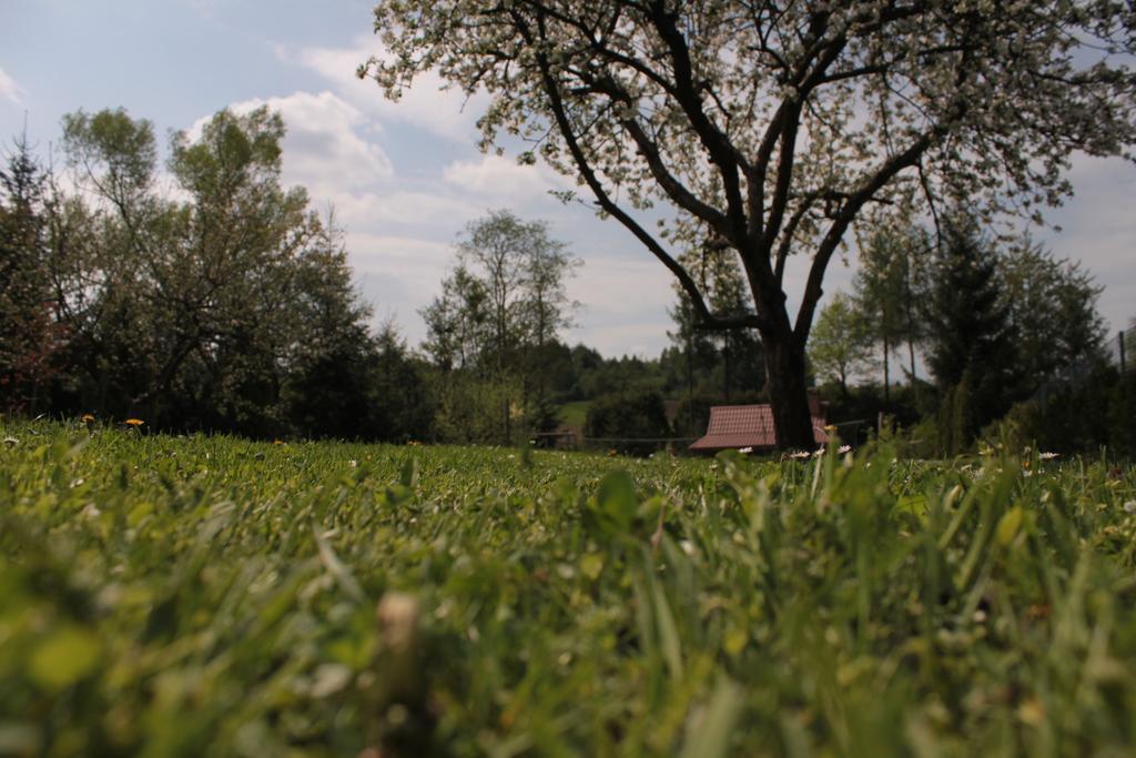 Uroczysko Villa Lesko Exteriör bild